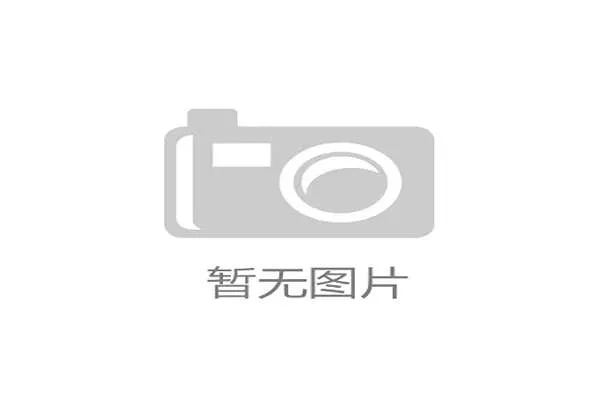 1994年世界杯荷兰橙衣军团的悲壮征途
